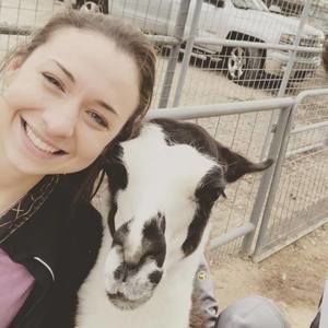 Meet your Posher, Ceilidh